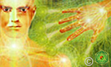 Haga "Click" sobre la imagen para ver el Diploma de este curso